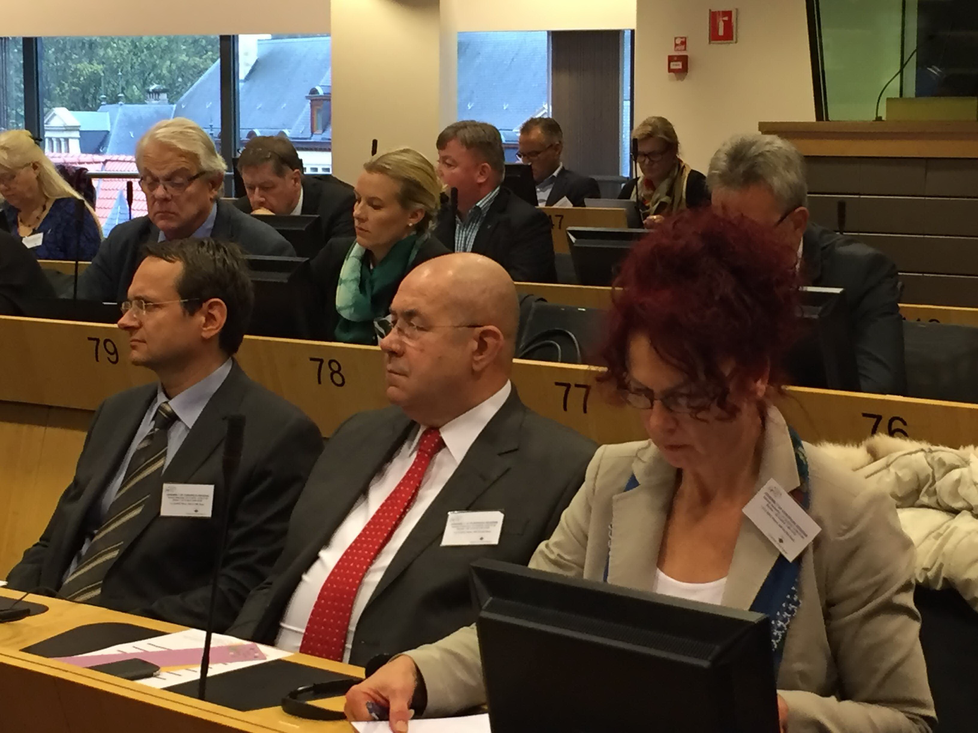 Delegacija pokrajinske Skupštine u Briselu