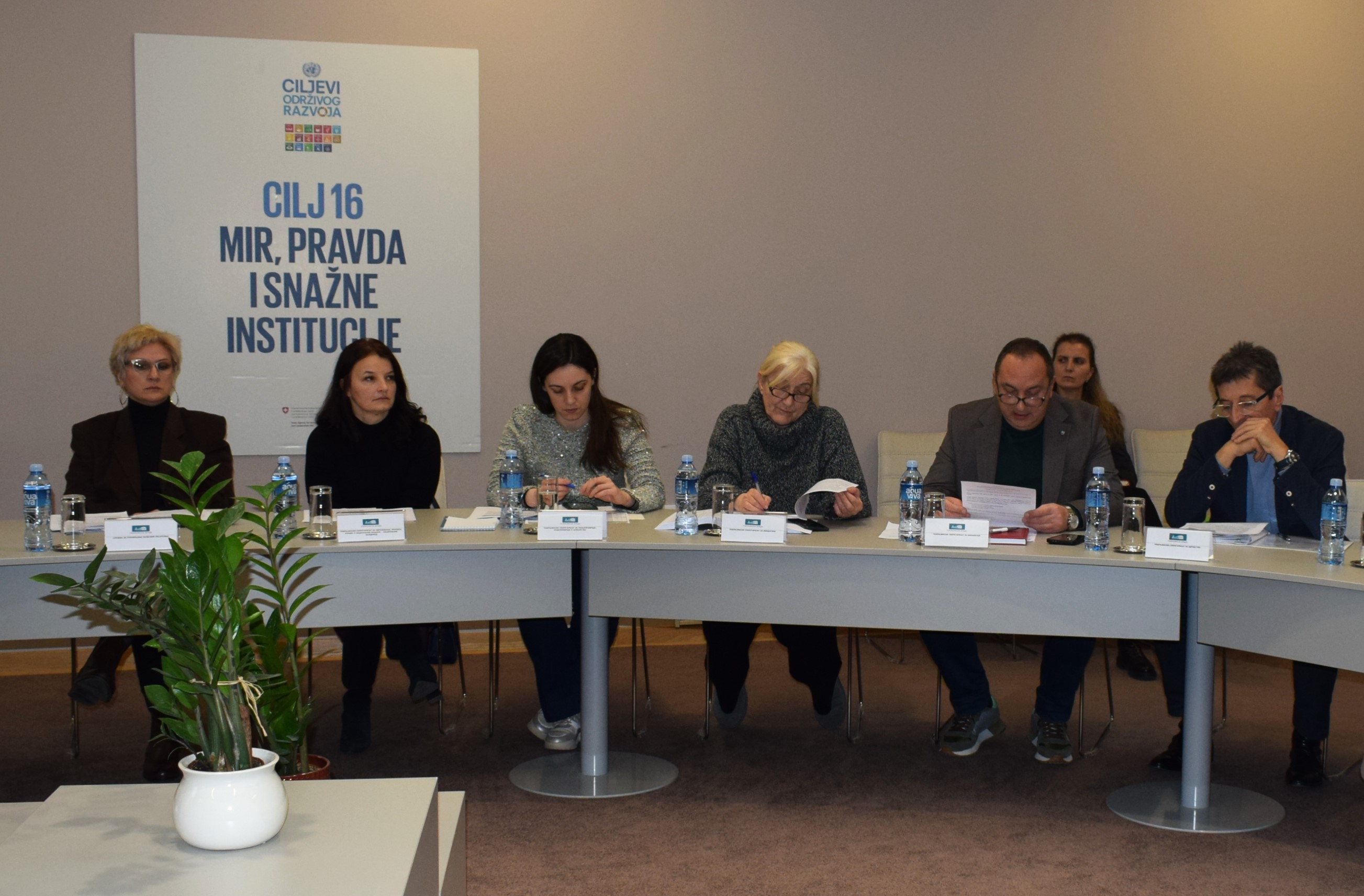 Sednice skup&scaron;tinskih odbora