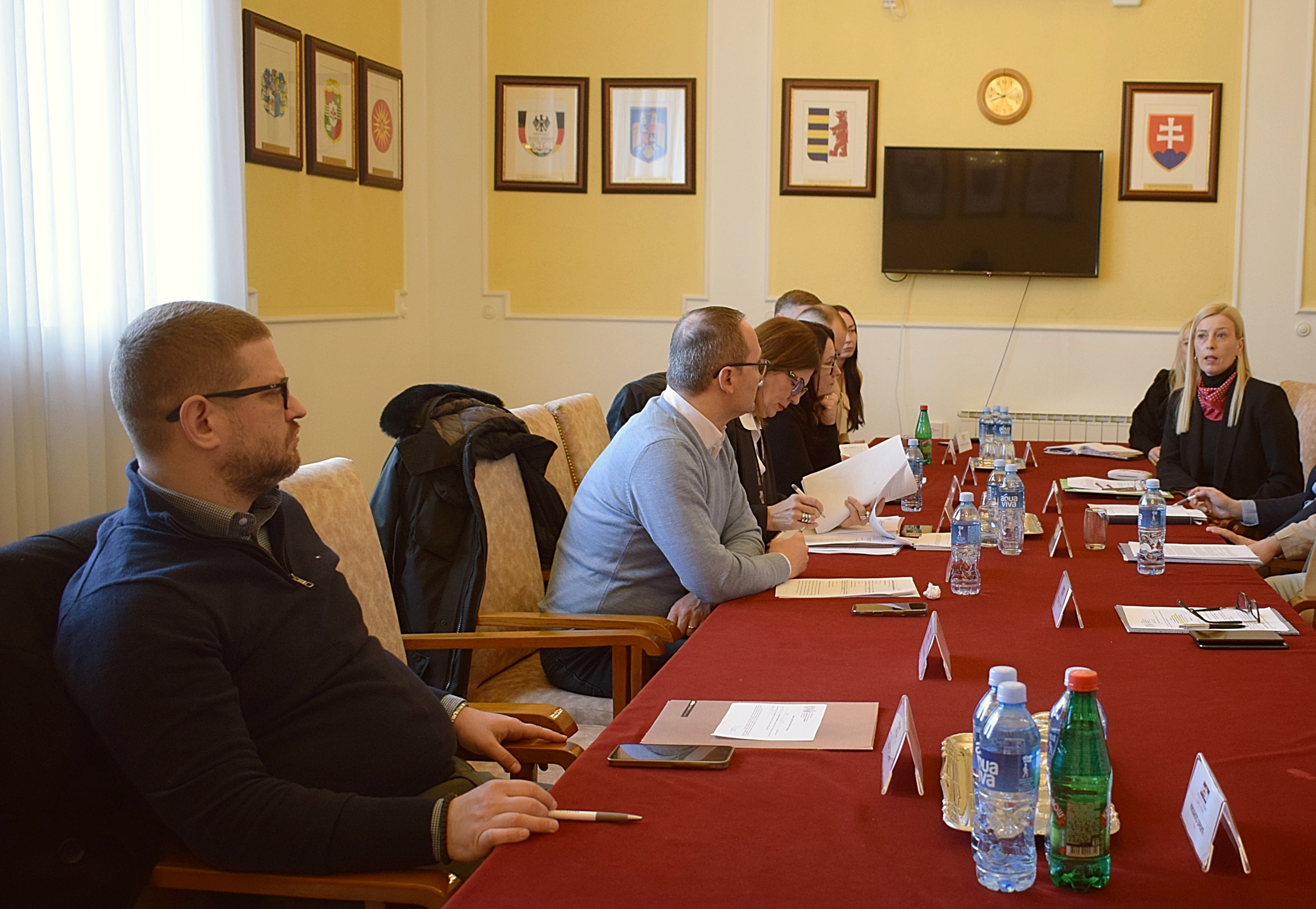 Sednice skup&scaron;tinskih odbora