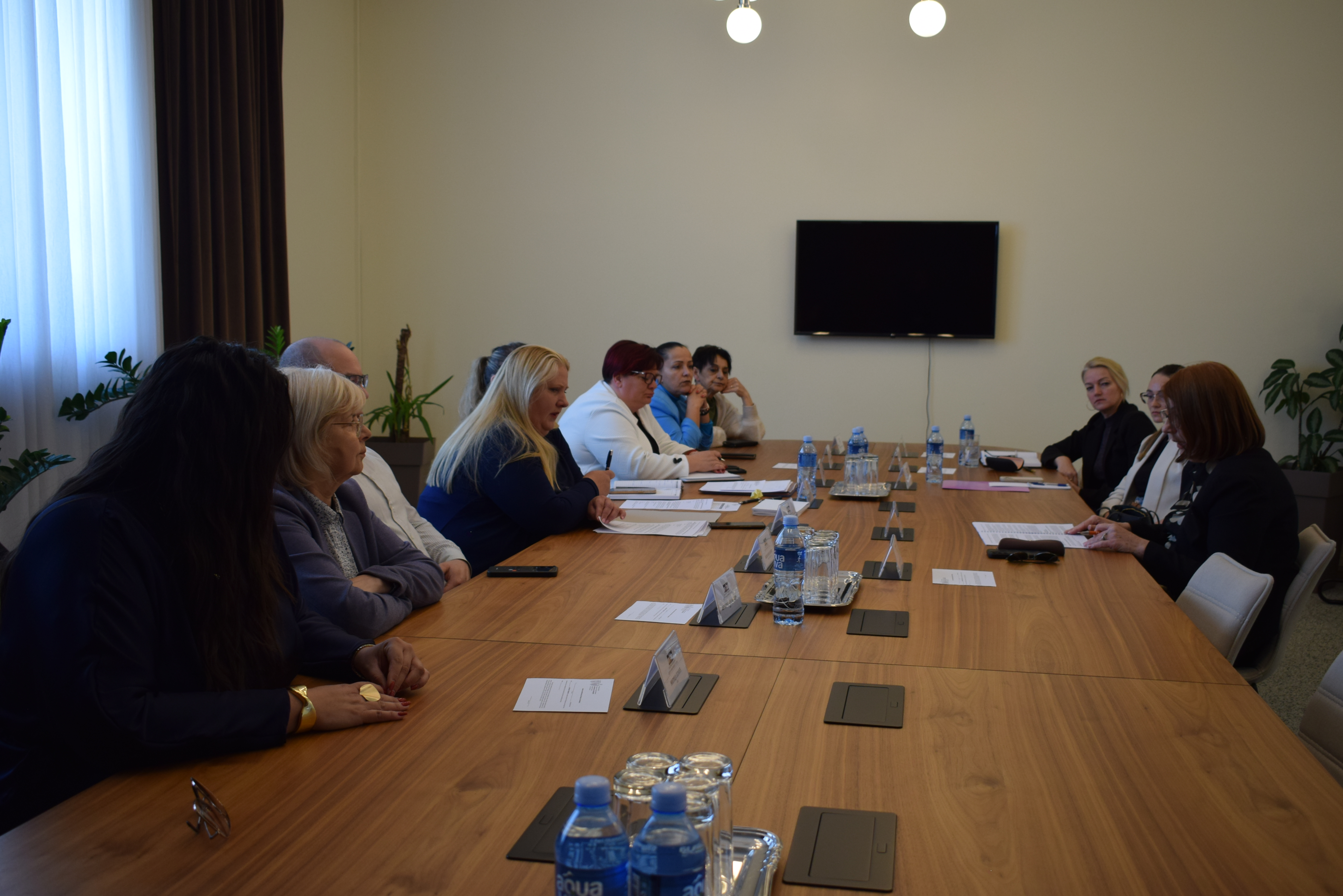 Sednice skup&scaron;tinskih odbora