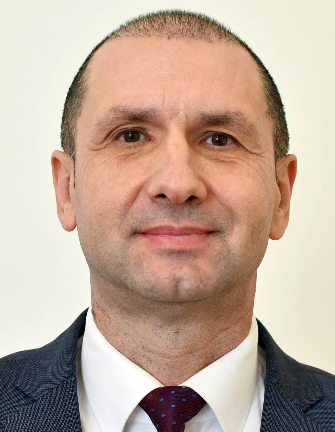 Miodrag Bulajić